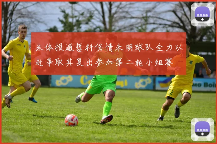 米体报道哲科伤情未明球队全力以赴争取其复出参加第二轮小组赛