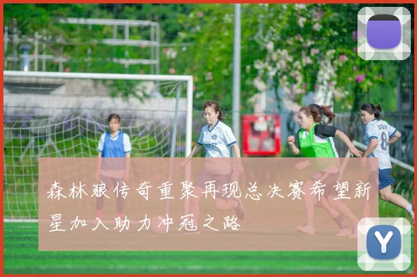 森林狼传奇重聚再现总决赛希望新星加入助力冲冠之路
