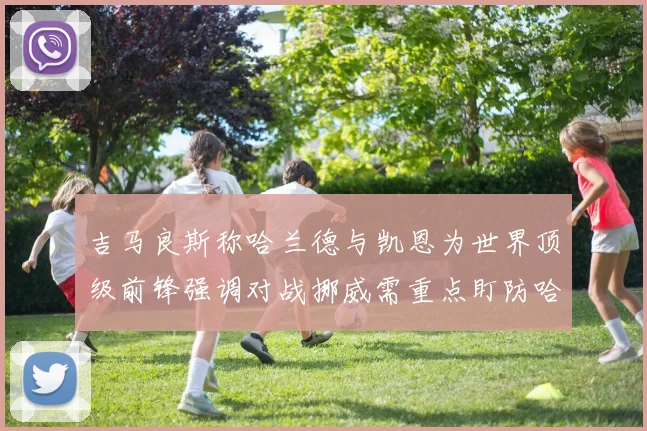 吉马良斯称哈兰德与凯恩为世界顶级前锋强调对战挪威需重点盯防哈兰德