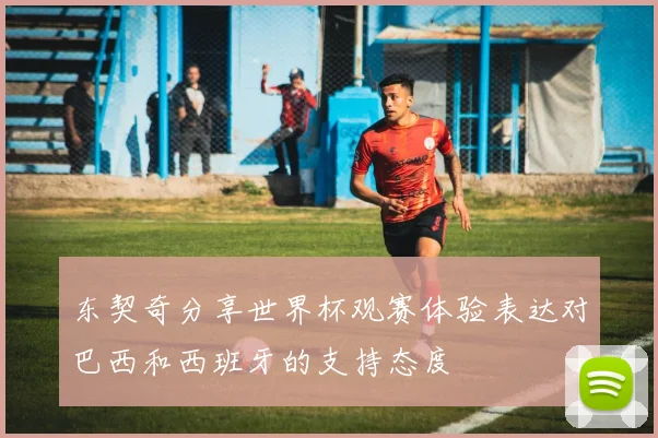 东契奇分享世界杯观赛体验表达对巴西和西班牙的支持态度