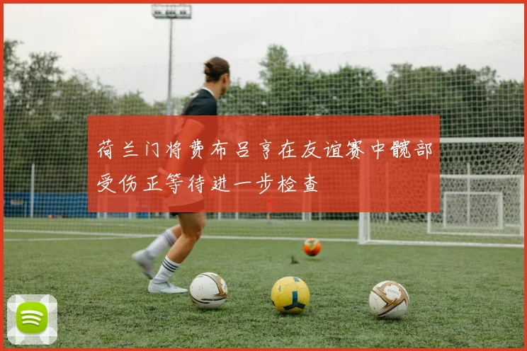 荷兰门将费布吕亨在友谊赛中髋部受伤正等待进一步检查
